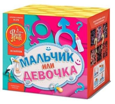 Мальчик или девочка М Фейерверк купить в Красноярске | krasnoyarsk.salutsklad.ru