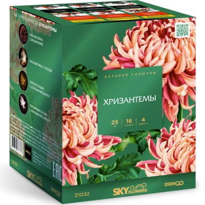 Хризантемы Фейерверк купить в Красноярске | krasnoyarsk.salutsklad.ru