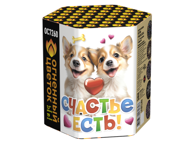 Счастье есть! Салют купить в Красноярске | krasnoyarsk.salutsklad.ru